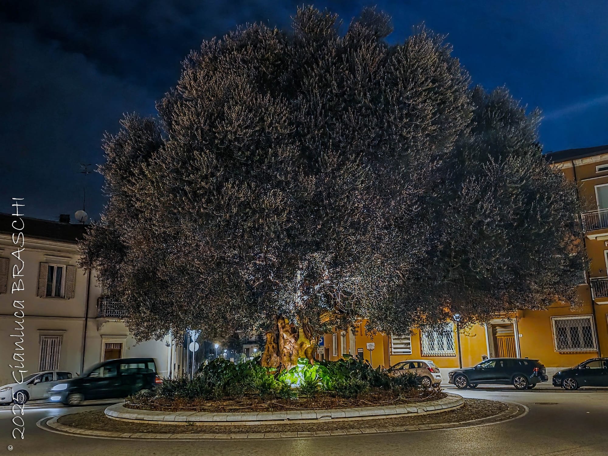 Rimini, 8 novembre 2025