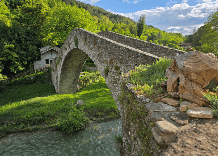 Tredozio-Portico di Romagna, 7 maggio 2026